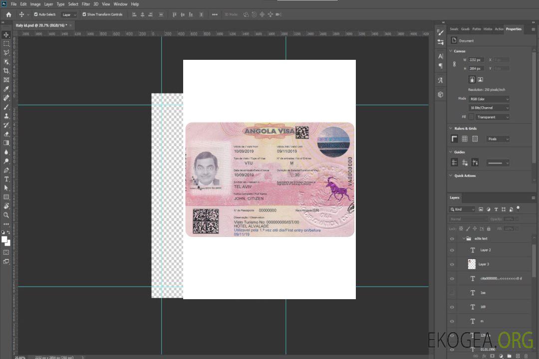 Visa ANGOLA template